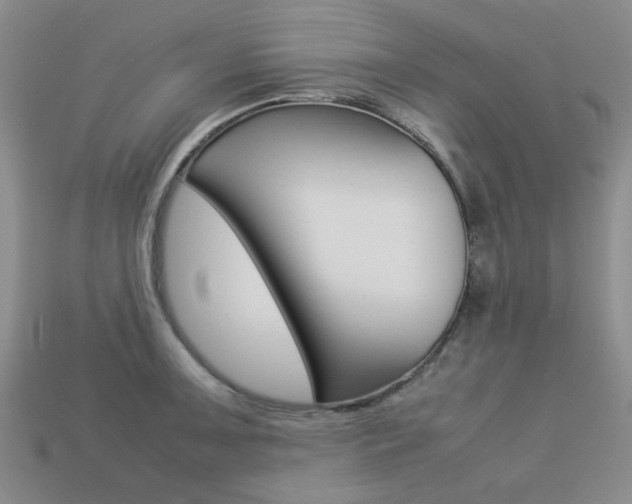 X0000113261091200909101245