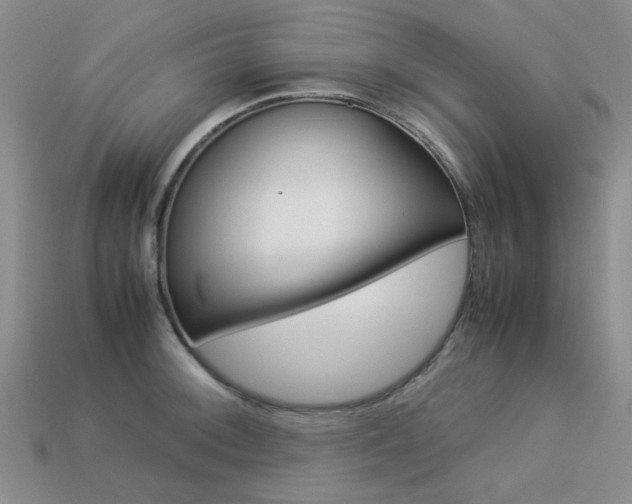 X0000113261092200909101245