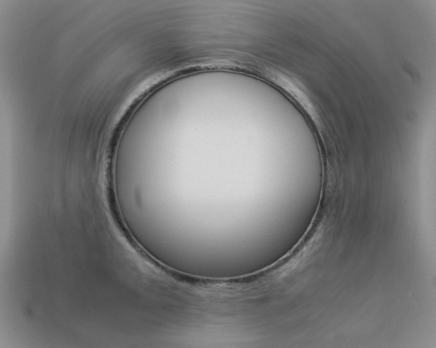 X0000113261093200909101245