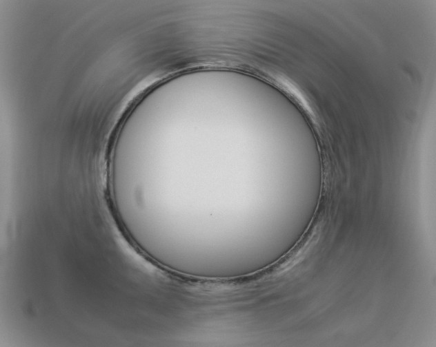 X0000113261095200909101245