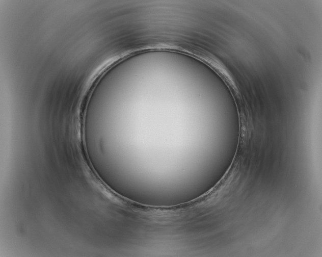 X0000113261096200909101245