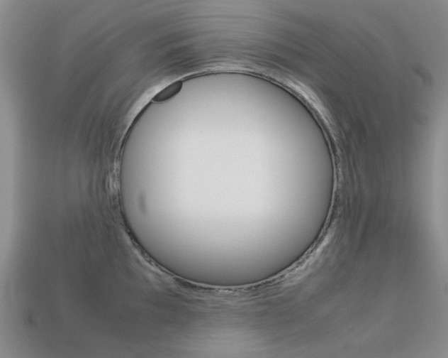 X0000113261097200909101245