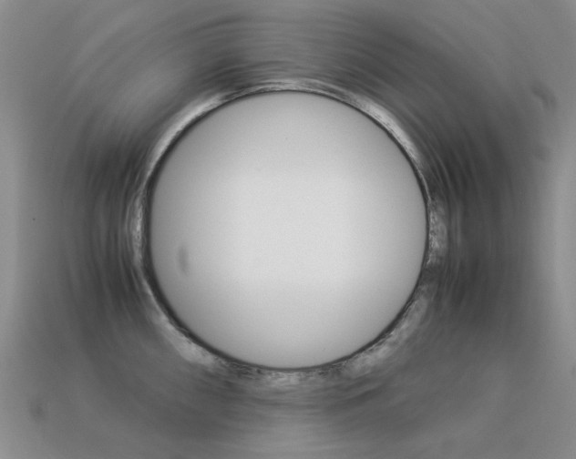 X0000113261098200909101245