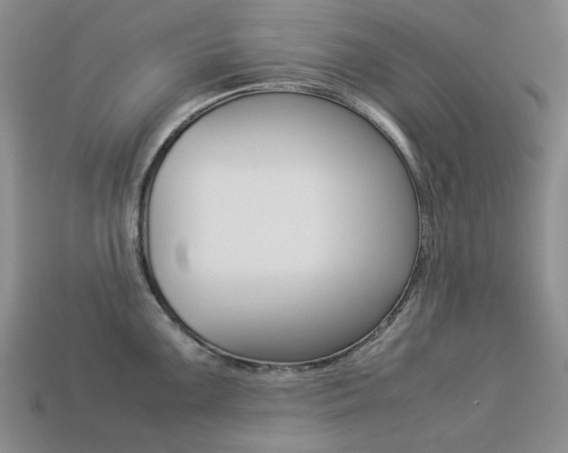 X0000113261099200909101244