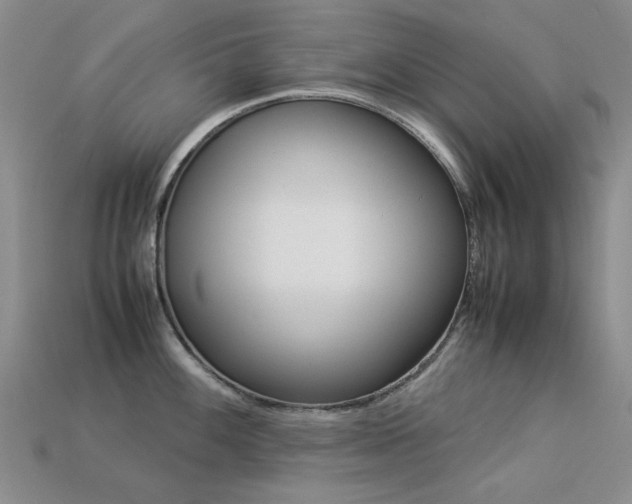 X0000113261100200909101244