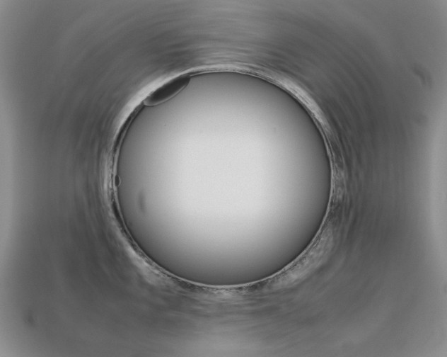 X0000113261101200909101244