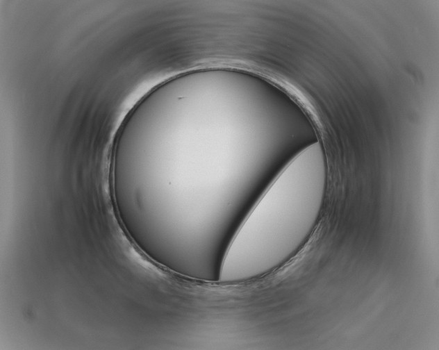 X0000113261102200909101244