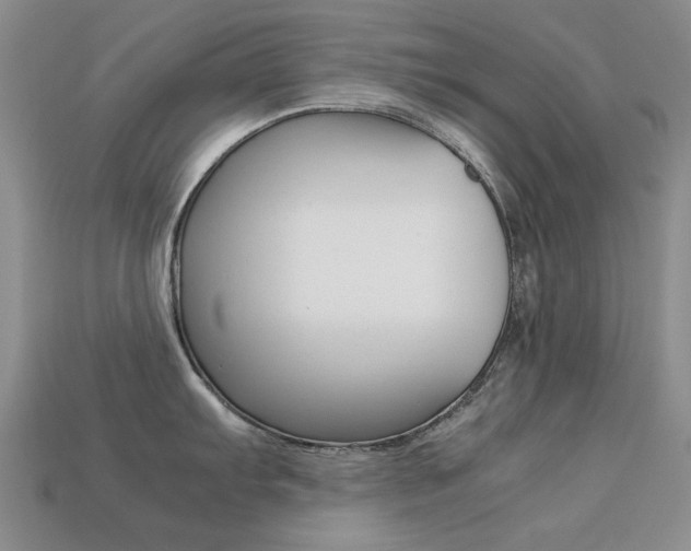 X0000113261103200909101244
