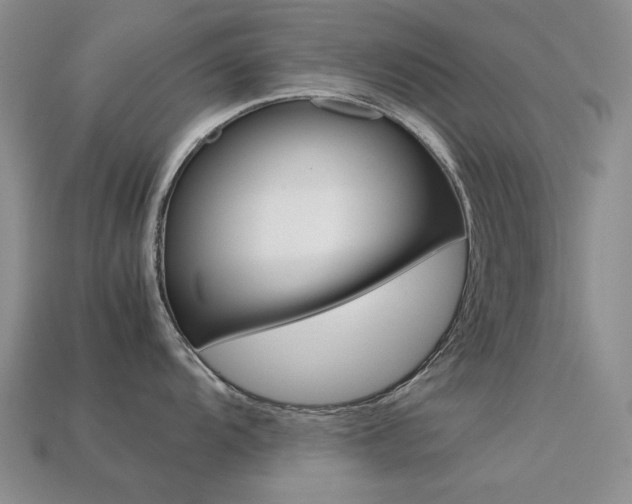 X0000113261104200909101244