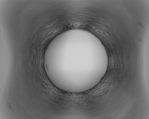 X0000113261105200909101244