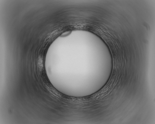 X0000113261106200909101244