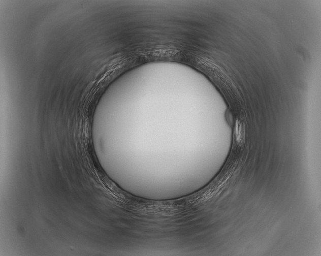X0000113261107200909101244