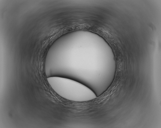 X0000113261109200909101244
