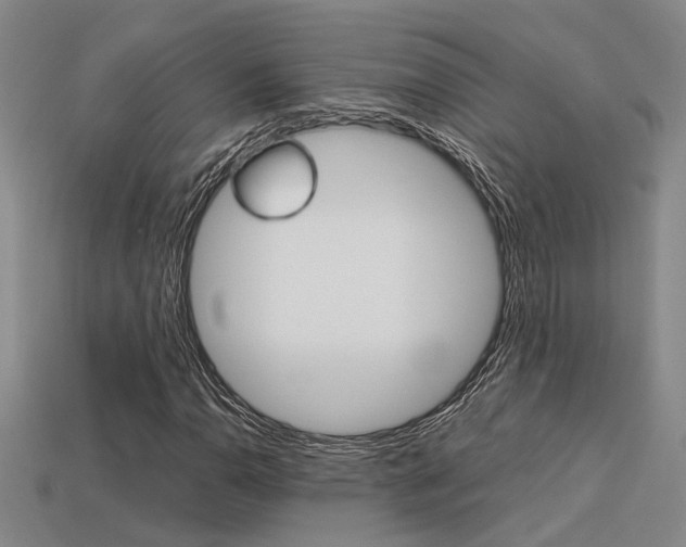 X0000113261110200909101244