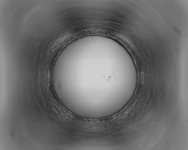 X0000113261111200909101244