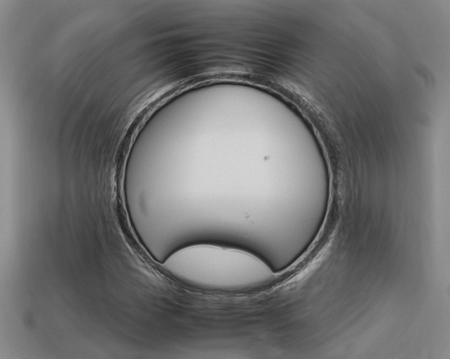 X0000113261113200909101244