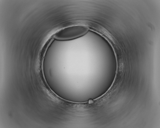 X0000113261116200909101244