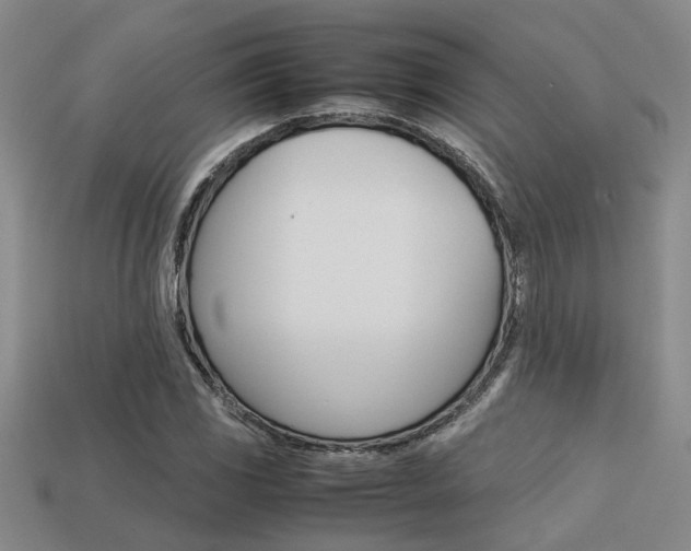 X0000113261117200909101244