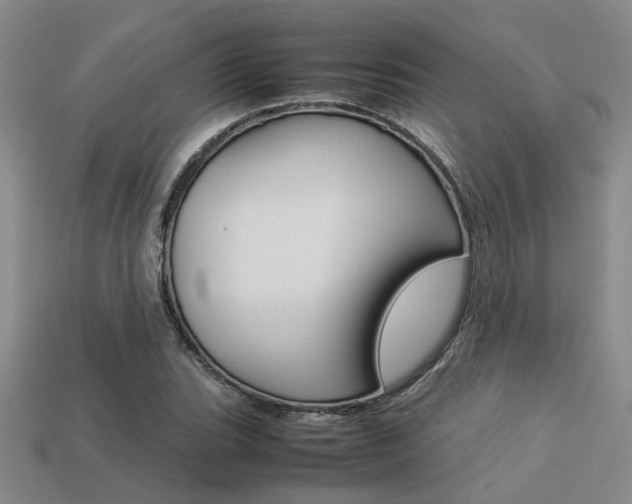 X0000113261119200909101244
