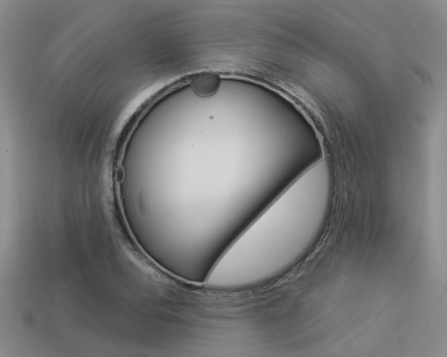 X0000113261120200909101244