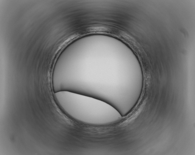 X0000113261121200909101244