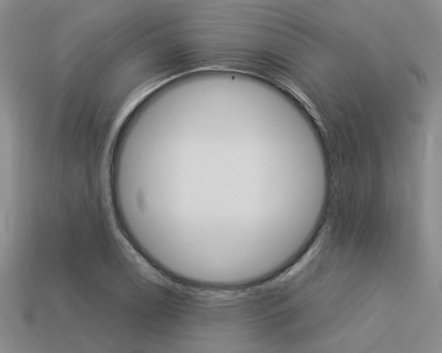 X0000113261122200909101244