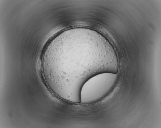 X0000113261125200909101244