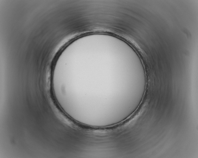 X0000113261126200909101244