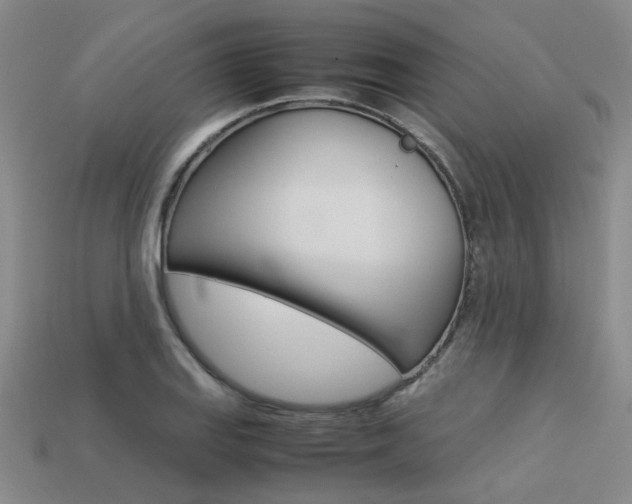 X0000113261127200909101244