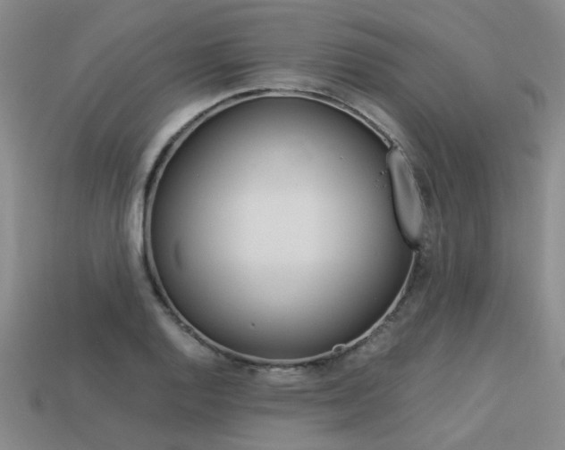 X0000113261128200909101244
