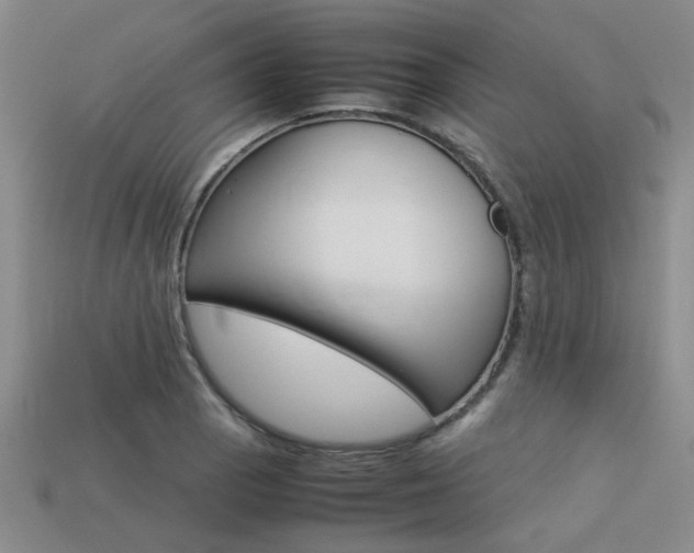 X0000113261129200909101244