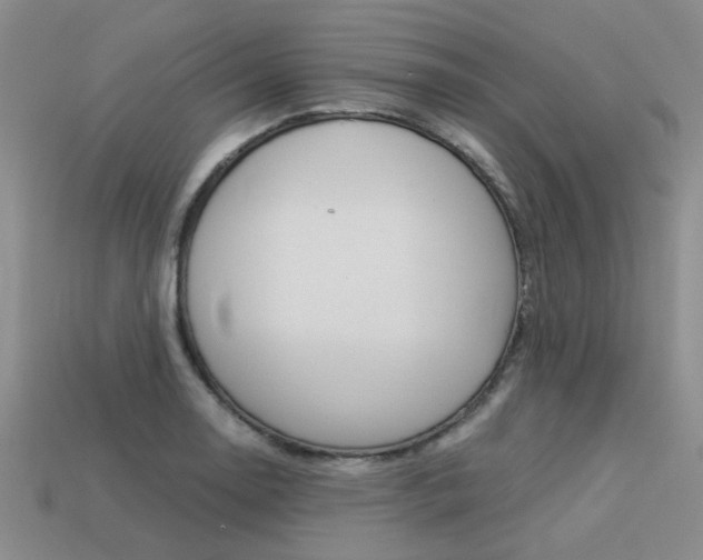 X0000113261130200909101244