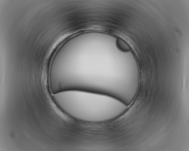 X0000113261131200909101244