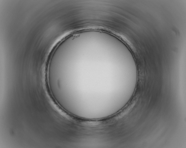 X0000113261134200909101244