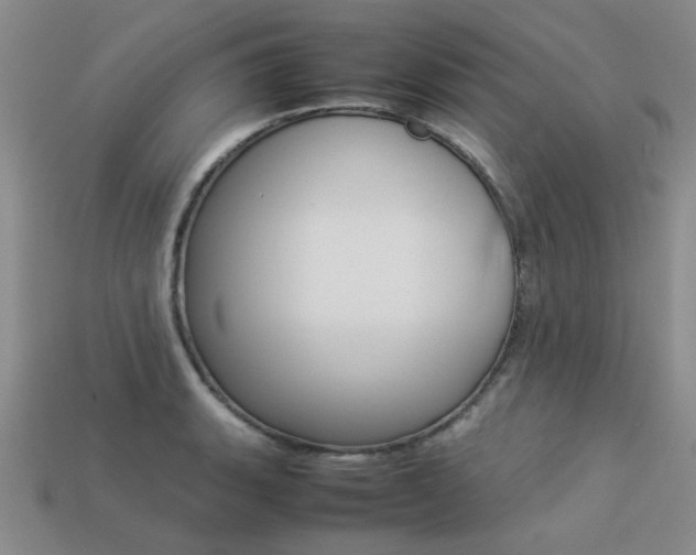 X0000113261135200909101244