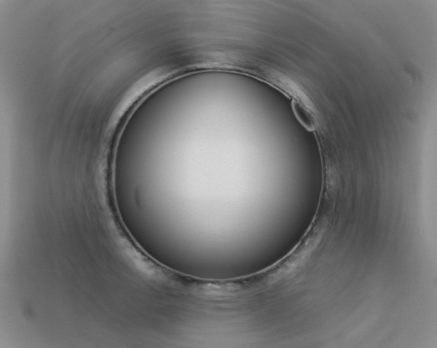 X0000113261138200909101244