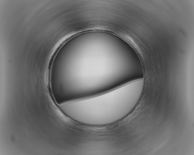 X0000113261140200909101244