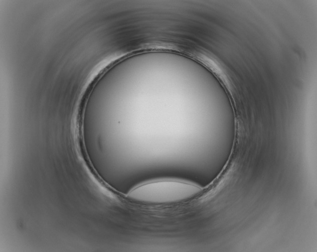 X0000113261141200909101244