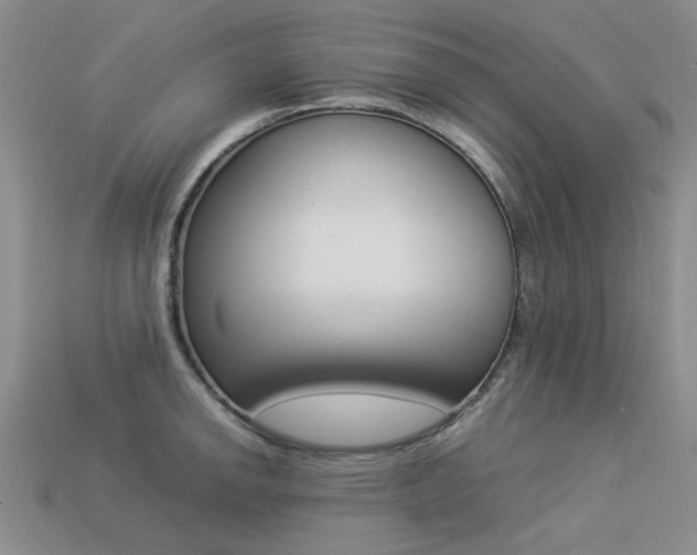 X0000113261142200909101244