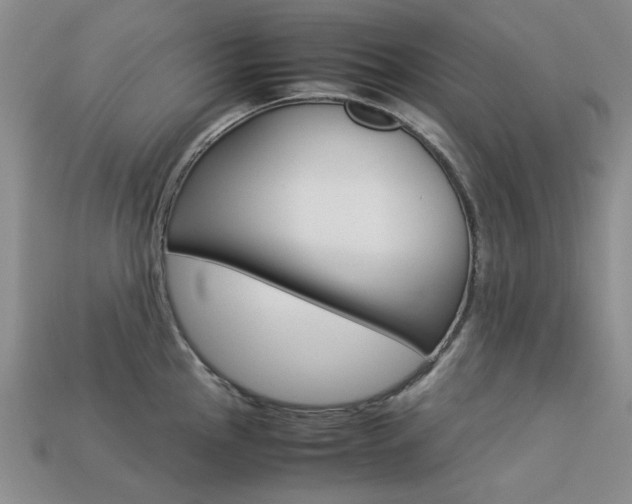 X0000113261145200909101244