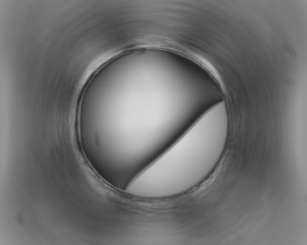 X0000113261146200909101244