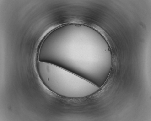 X0000113261147200909101244