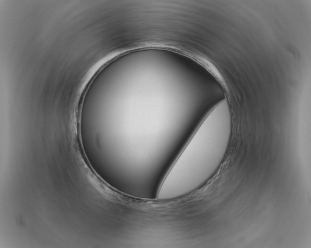 X0000113261148200909101244