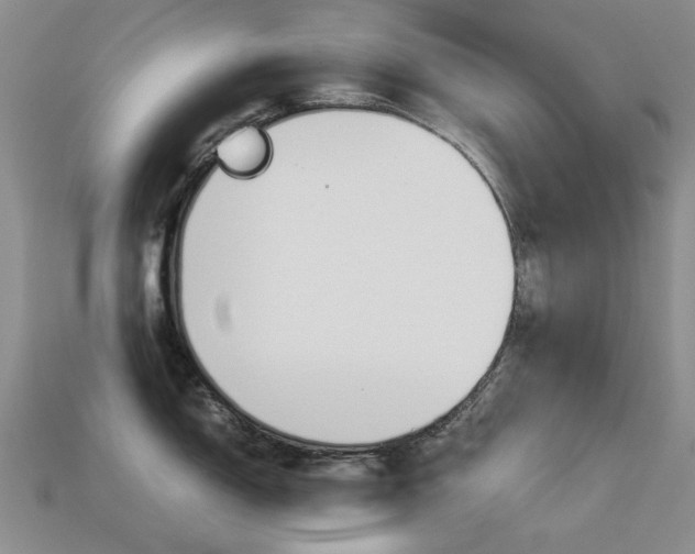 X0000113261150200909101244