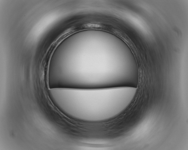 X0000113261151200909101244