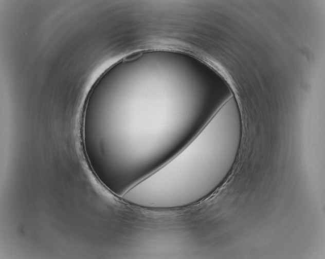 X0000113261152200909101244
