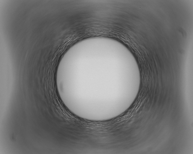 X0000113261153200909101244