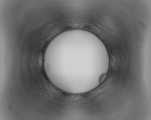 X0000113261154200909101244