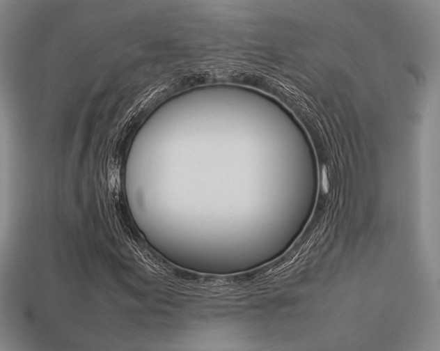 X0000113261155200909101244