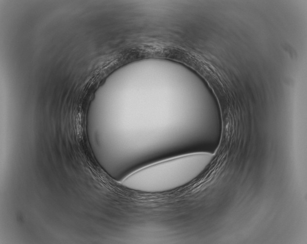 X0000113261156200909101244